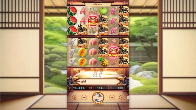 Ninja Raccoon Frenzy