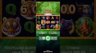 Tiger Jungle max win video 1