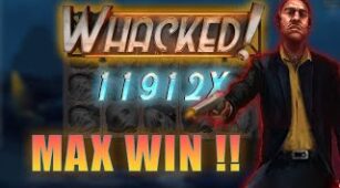 Whacked! max win video 2
