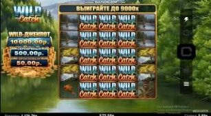 Wild Catch max win video 1