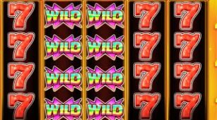 Wild Hot 40 max win video 0