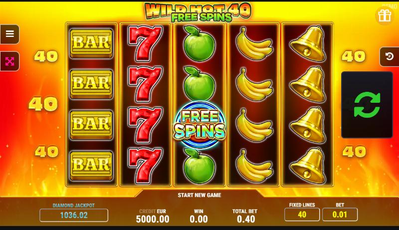 Wild Hot 40
