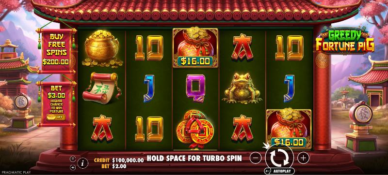 Greedy Fortune Pig
