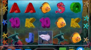 Wild Dolphins demo play free 2