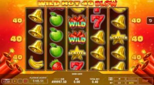 Wild Hot 40 Blow demo play free 1