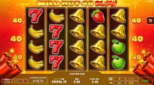 Wild Hot 40 Blow demo play free 2