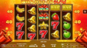 Wild Hot 40 Blow demo play free 3