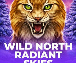 Wild North Radiant Skies