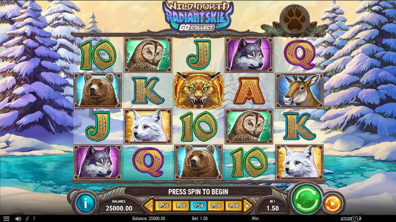 Wild North Radiant Skies