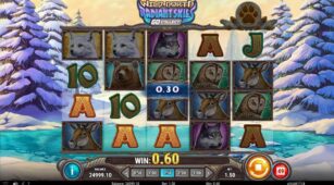 Wild North Radiant Skies demo play free 1