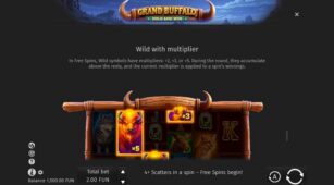 Grand Buffalo Hold & Win demo play free 2