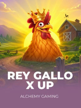 Rey Gallo X Up