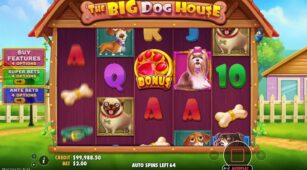 The Big Dog House demo play free 3