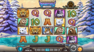 Wild North Radiant Skies Go Collect demo play free 0