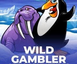 Wild Gambler - Arctic Adventures