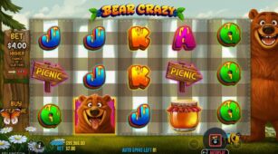 Bear Crazy demo play free 1