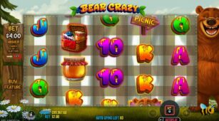 Bear Crazy demo play free 3
