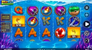 Wild Fish Bonanza demo play free 2