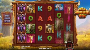 Wild Wildebeest Wins demo play free 2