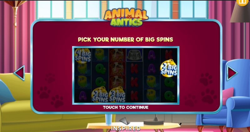 Animal Antics