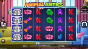 Animal Antics demo play free 0