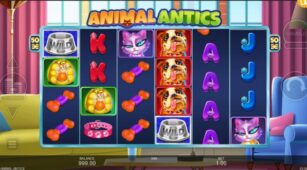 Animal Antics demo play free 2