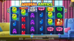 Animal Antics demo play free 3