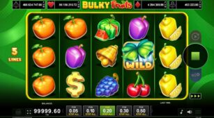Bulky Fruits demo play free 2