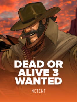 Dead Or Alive 3 Wanted