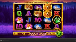Golden Grizzly demo play free 1