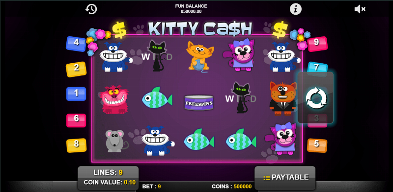 Kitty Cash