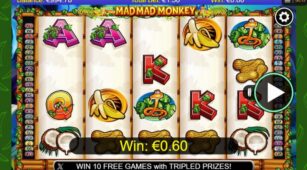 Mad Mad Monkey demo play free 3