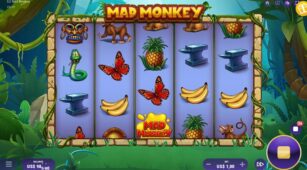 Mad Monkey demo play free 3