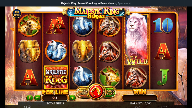 Majestic King – Sunset