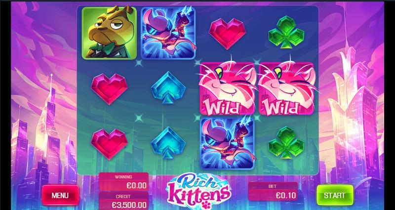 Rich Kittens
