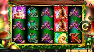 Secrets Of The Forest 2 Pixie Paradise demo play free 3