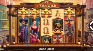 The Good The Bad And The Wild demo play free 0