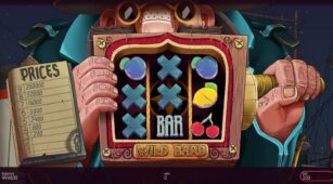 Wild Bard demo play free 0