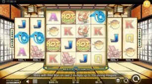 Wild Hot Wasabi demo play free 0