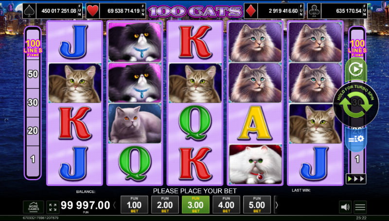 100 Cats