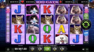 100 Cats demo play free 0