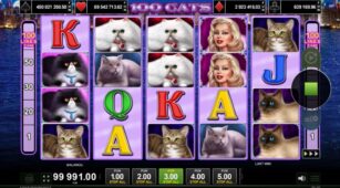 100 Cats demo play free 2