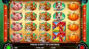 40 Roosters demo play free 1
