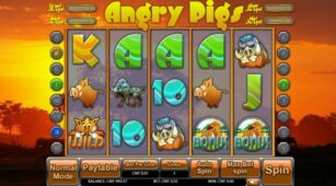 Angry Pigs demo play free 0