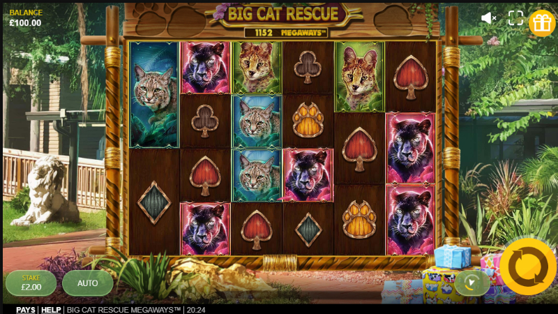 Big Cat Rescue Megaways
