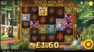 Big Cat Rescue Megaways demo play free 3