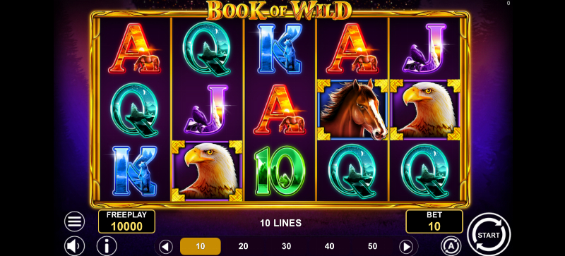 Book Of Wild