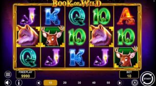 Book Of Wild demo play free 0