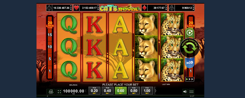 Cats Royal