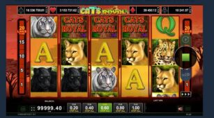 Cats Royal demo play free 0